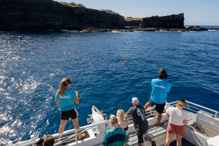 snorkeling with the crew a dive spot on lanai