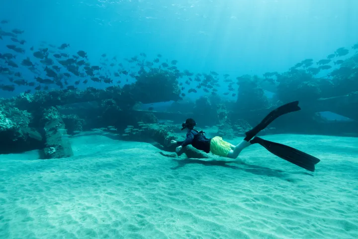 a man swimming in a body of water