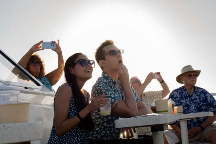 a group of people sitting at a table whale watching and drinking alcohol
