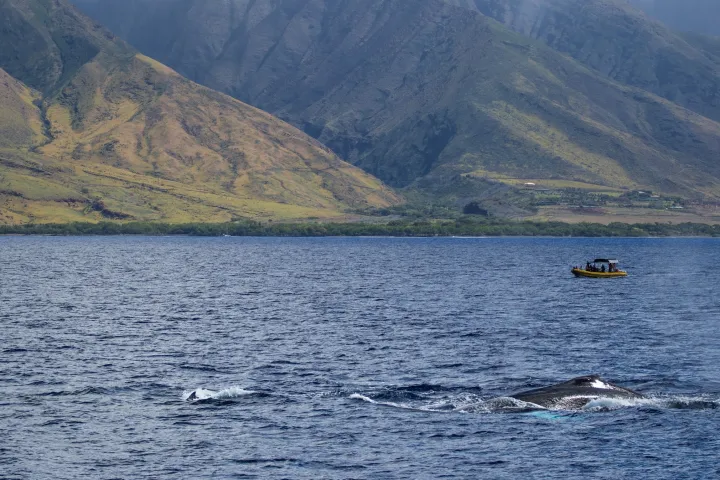 a large body of water with a mountain in the background