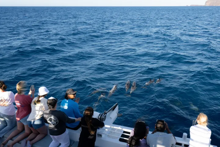 a group of people standing next to a body of water