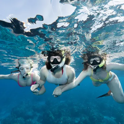 a flock of seagulls are swimming in the water