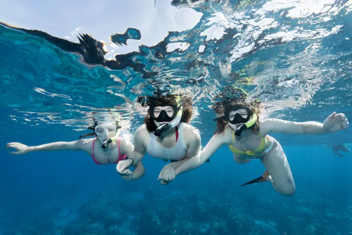 a flock of seagulls are swimming in the water