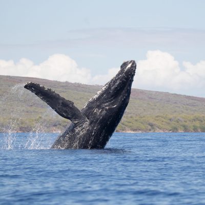 a body of water with a mountain in the background