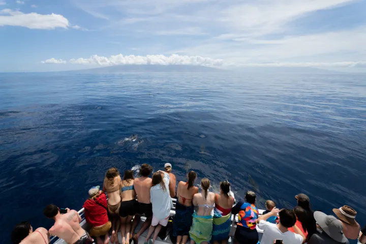 a group of people standing next to a body of water