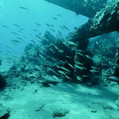 underwater view of a large rock