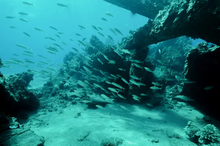 underwater view of a large rock
