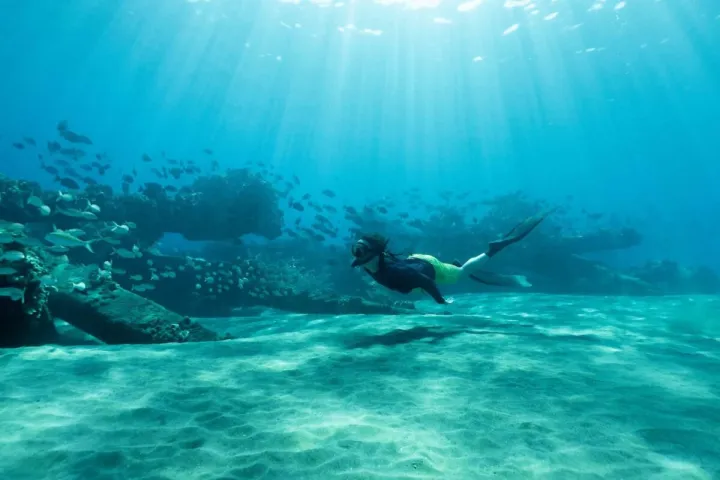 a large body of water